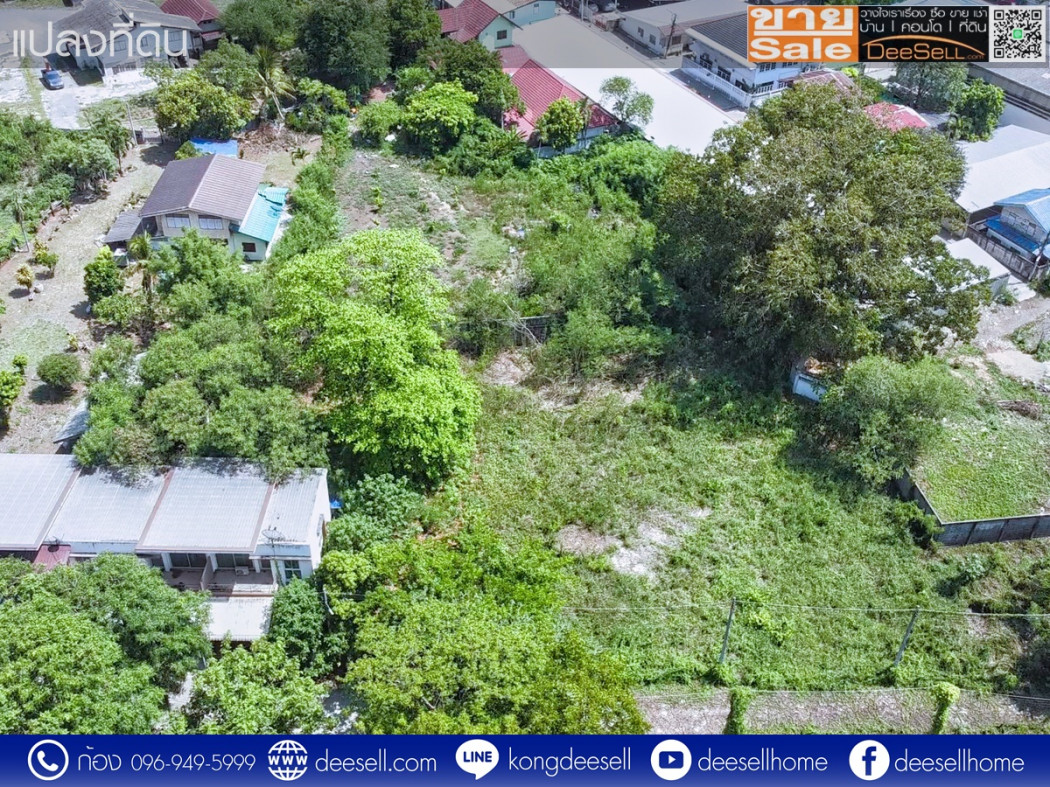 ขายที่ดินราคาถูก โครงการแมกไม้ ชายน้ำ แก่งคอย สระบุรี 441.9 ตร.ว. ถมแล้ว รูปที่ 5