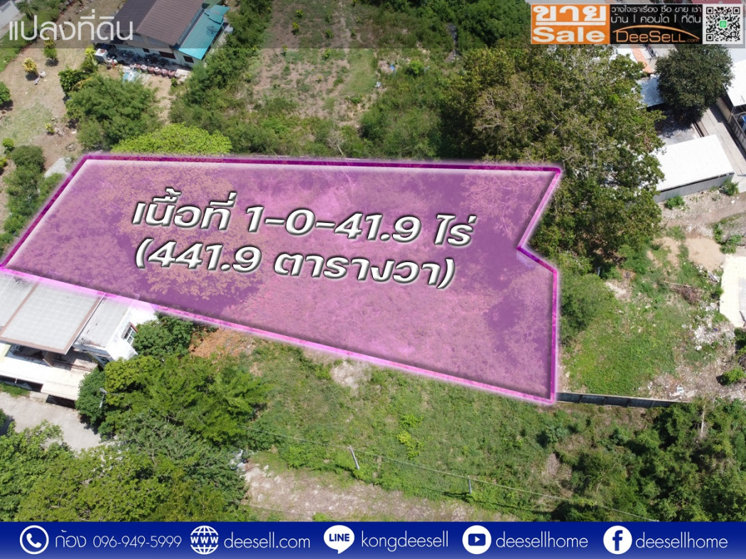 ขายที่ดินราคาถูก โครงการแมกไม้ ชายน้ำ แก่งคอย สระบุรี 441.9 ตร.ว. ถมแล้ว รูปที่ 2