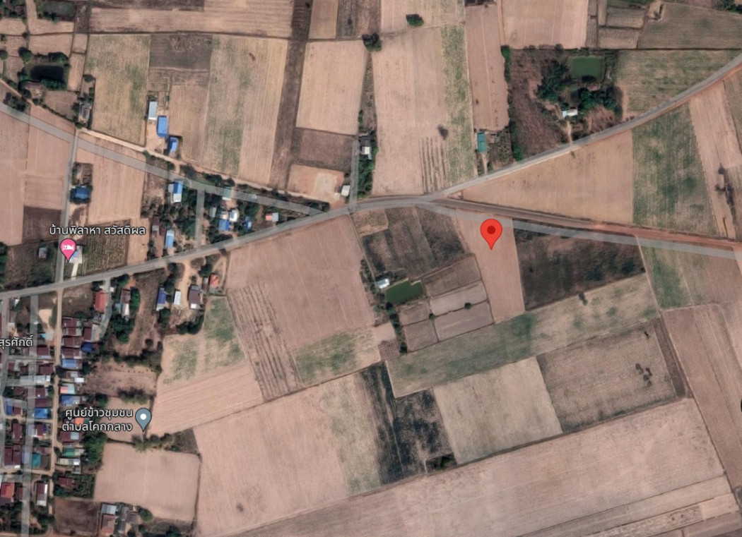ขาย ที่ดิน แปลงใหญ่ เหมาะทำเกษตรกรรม 9 ไร่ 60 ตร.วา อุดรธานี รูปที่ 3