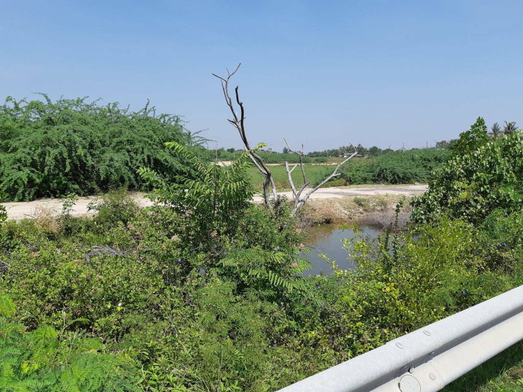 ขาย ที่ดิน แปลงใหญ่ 21 ไร่ 1 งาน 73 ตร.วา ห่างจากหาดเจ้าสำราญเพียง 750 ม. รูปที่ 2