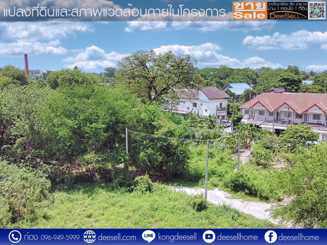 ขายที่ดินราคาถูก โครงการแมกไม้ ชายน้ำ แก่งคอย สระบุรี 73.9 ตร.ว. ถมแล้ว รูปที่ 6