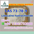 CAS：73-78-9  Benzocaine Lidocaine Xylocaine Lidocaine HCl Lidocaine Hydrochloride Tetracaine HCl Tetracaine Hydrochloride Safe Shipping
