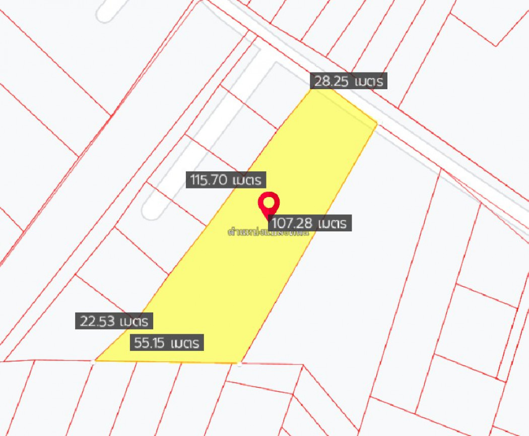 ขายที่ดินหนองหงษ์ 3 ไร่ ติดถ.คอนกรีต ใกล้ถนนเส้น 3023 - 800 เมตร อ.พานทอง ชลบุรี รูปที่ 5