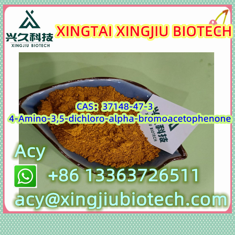 High Quality p-Anisic acid CAS：100-09-4 รูปที่ 1