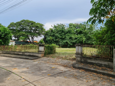 ขายที่ดิน ถมแล้ว หมู่บ้านเลควิวพาร์คซอย26 127 ตร.วา เหมาะสร้างบ้าน รูปที่ 7
