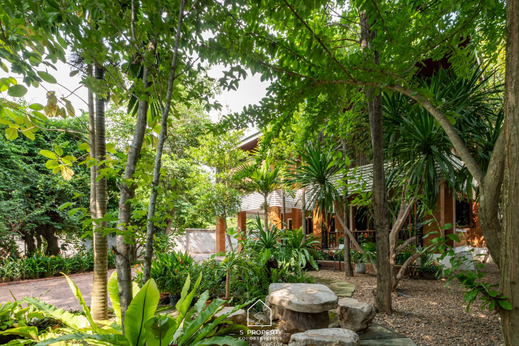 ขาย บ้านเดี่ยว  Tropical Contemporary Style บ้านวังตาล 348 ตรม. 213 ตร.วา ร่มรื่น เงียบสงบ รูปที่ 2