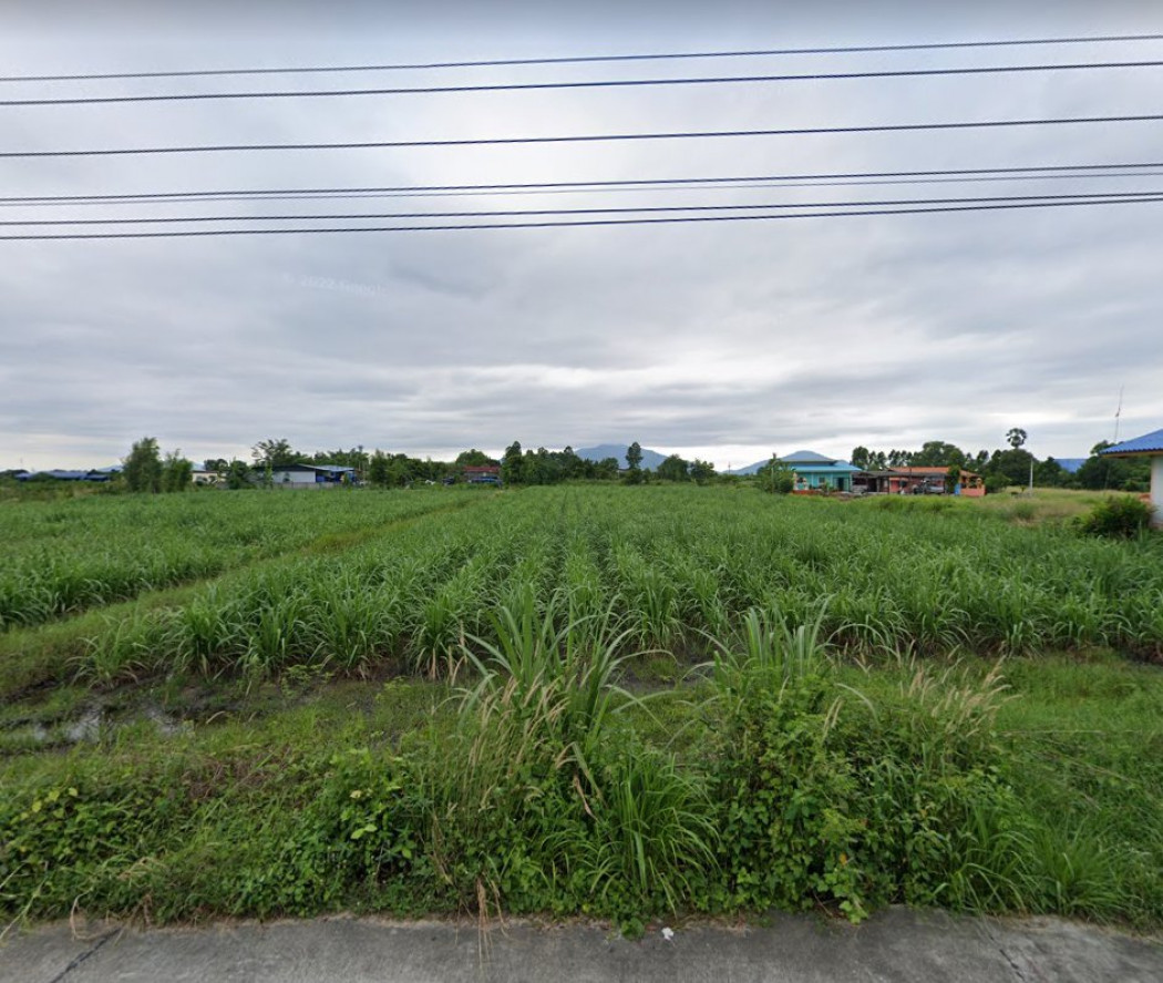 ขายที่ดินหนองหงษ์ 3 ไร่ ติดถ.คอนกรีต ใกล้ถนนเส้น 3023 - 800 เมตร อ.พานทอง ชลบุรี รูปที่ 2