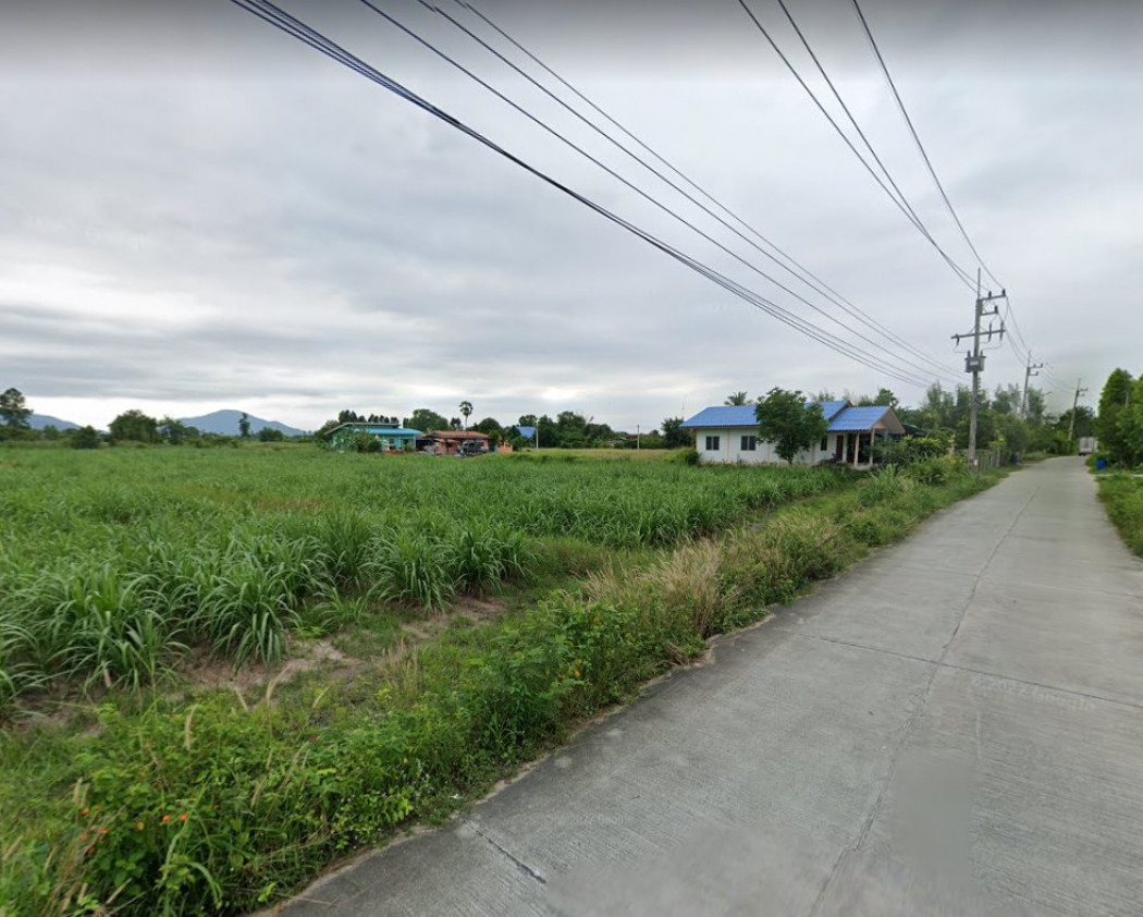 ขายที่ดินหนองหงษ์ 3 ไร่ ติดถ.คอนกรีต ใกล้ถนนเส้น 3023 - 800 เมตร อ.พานทอง ชลบุรี รูปที่ 3