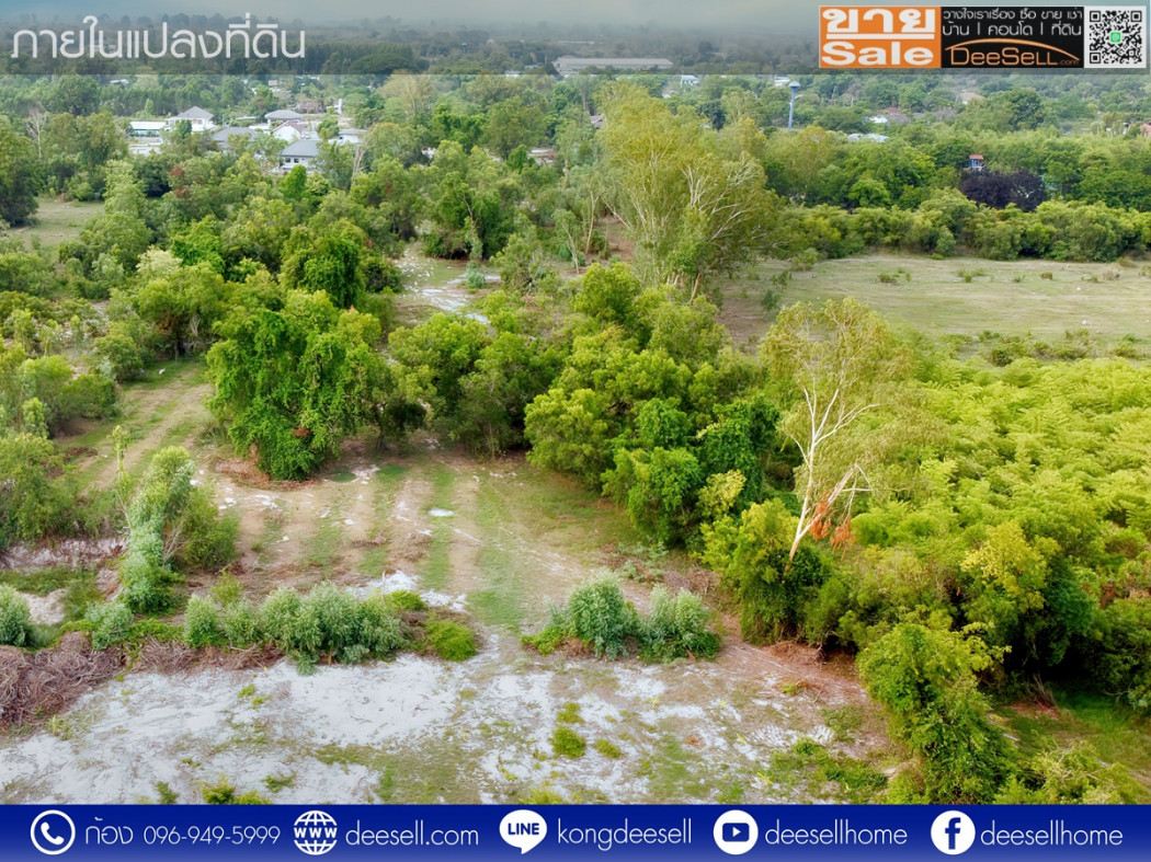 ขายที่ดินสระบุรี หลังอนุบาลวิหารแดง ตำบลหนองสรวง 3 ไร่ ถูกมาก รูปที่ 8
