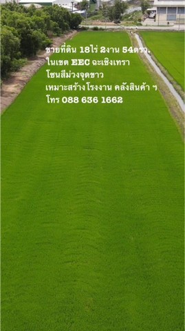 ขายที่ดิน เหมาะสร้างโรงงาน คลังสินค้า ฯ ในเขต EEC อ.เมืองฉะเชิงเทรา จ.ฉะเชิงเทรา Land for Sale for factory warehouse 空地出售 适合开发工厂 รูปที่ 1