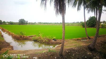 ขาย ที่ดิน แปลงสวย 18 ไร่ ติดถนน นบ1002 ลาดปลาดุก บางบัวทอง รูปที่ 4
