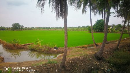 ขาย ที่ดิน แปลงสวย 18 ไร่ ติดถนน นบ1002 ลาดปลาดุก บางบัวทอง รูปที่ 5