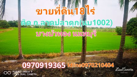 ขาย ที่ดิน แปลงสวย 18 ไร่ ติดถนน นบ1002 ลาดปลาดุก บางบัวทอง รูปที่ 1