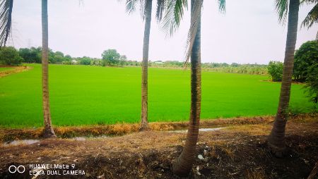 ขาย ที่ดิน แปลงสวย 18 ไร่ ติดถนน นบ1002 ลาดปลาดุก บางบัวทอง รูปที่ 2