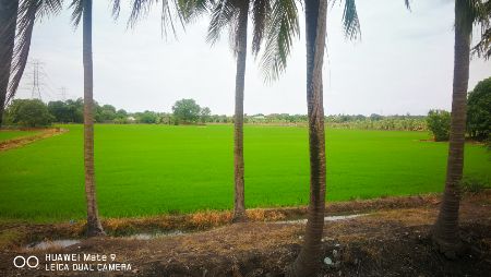 ขาย ที่ดิน แปลงสวย 18 ไร่ ติดถนน นบ1002 ลาดปลาดุก บางบัวทอง รูปที่ 6