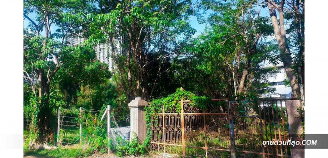 ขาย ที่ดิน ขายที่ดิน ซ.สุขุมวิท 72 สมุทรปราการ เนื้อที่ 1 ไร่ 2 งาน 2 ตารางวา 1 ไร่ 2 งาน 2 ตร.วา รูปที่ 6
