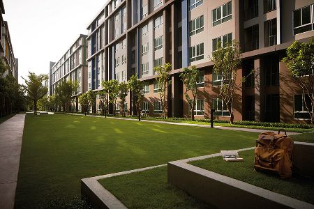 ให้เช่า คอนโด สวย DCONDO CAMPUS RESORT บางนา 30 ตรม. แต่งโดยสถาปนิกมืออาชีพ. รูปที่ 6