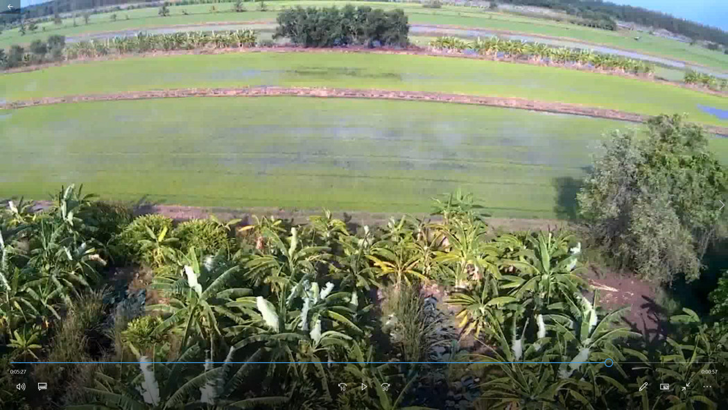 ขาย ที่ดิน - 2 งาน 50 ตร.วา ที่ดินสวนเกษตร คลองสี่ คลองหลวง น้ำ ไฟ พร้อม รูปที่ 3