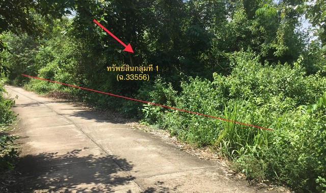 ขายที่ดินว่างเปล่า อำเภอเรณูนคร นครพนม (PKK01-11059) รูปที่ 1