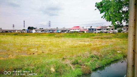 ขาย ที่ดิน ติดหมู่บ้านร่มเงาไม้ 14 ไร่ 3 งาน 19 ตร.วา ติดถนน นบ1002 ลาดปลาดุก บางบัวทอง. รูปที่ 2