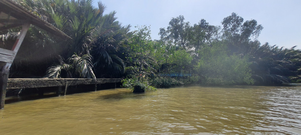 ขาย ที่ดิน วิวแม่น้ำเจ้าพระยา  ที่ดินวิวแม่น้ำเจ้าพระยา บางกอบัว 6 ไร่ 3 งาน 32 ตร.วา ที่ดินสวย ริมแม่น้ำ รูปที่ 1