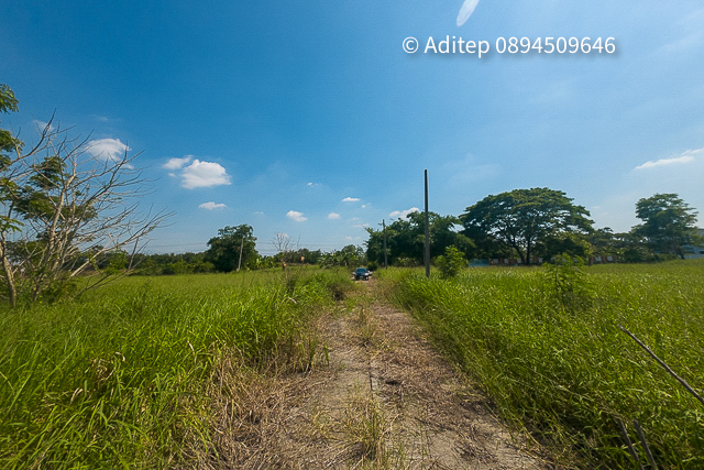 ที่ดิน คลองแปด แบ่งขาย 2 แปลง แปลงละ 100 ตรว. ใกล้ถนนรังสิต-นครนายก เหมาะปลูกบ้าน รูปที่ 1