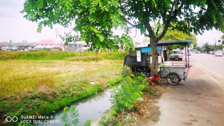 ขาย ที่ดิน ติดหมู่บ้านร่มเงาไม้ 14 ไร่ 3 งาน 19 ตร.วา ติดถนน นบ1002 ลาดปลาดุก บางบัวทอง. รูปที่ 4
