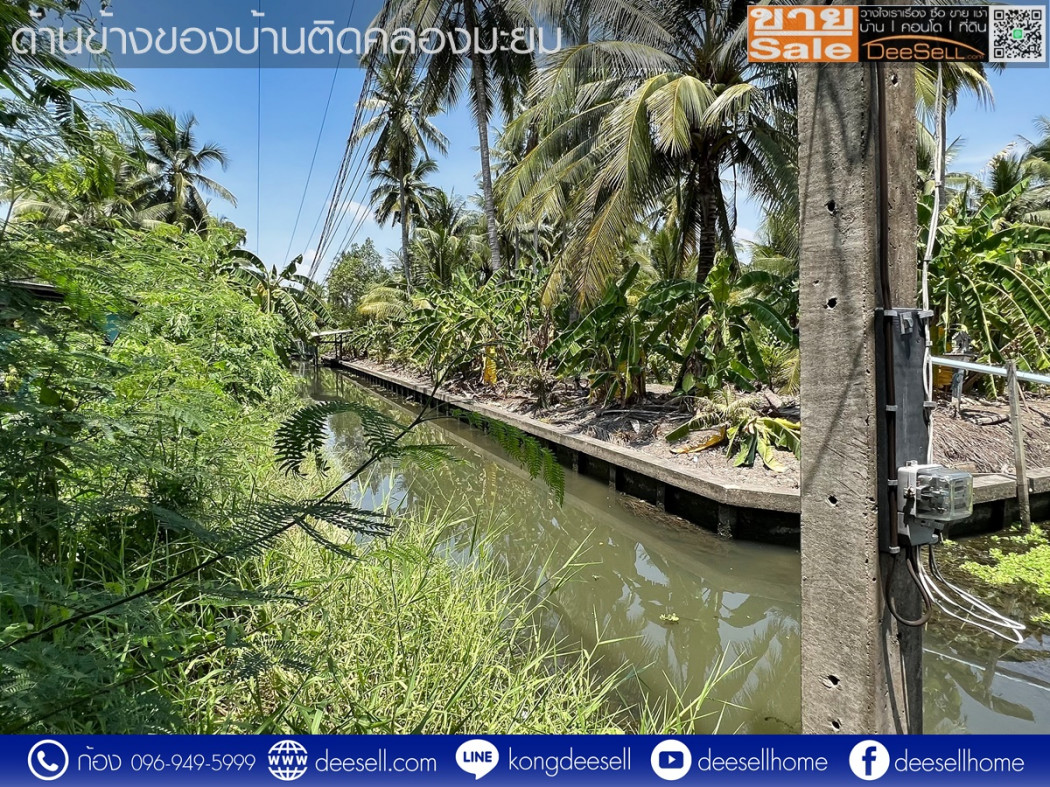 ขายบ้านพร้อมที่ดิน ดำเนินสะดวก ราชบุรี 381 ตารางวา ทำเลดี ติดคลองมะยม รูปที่ 6