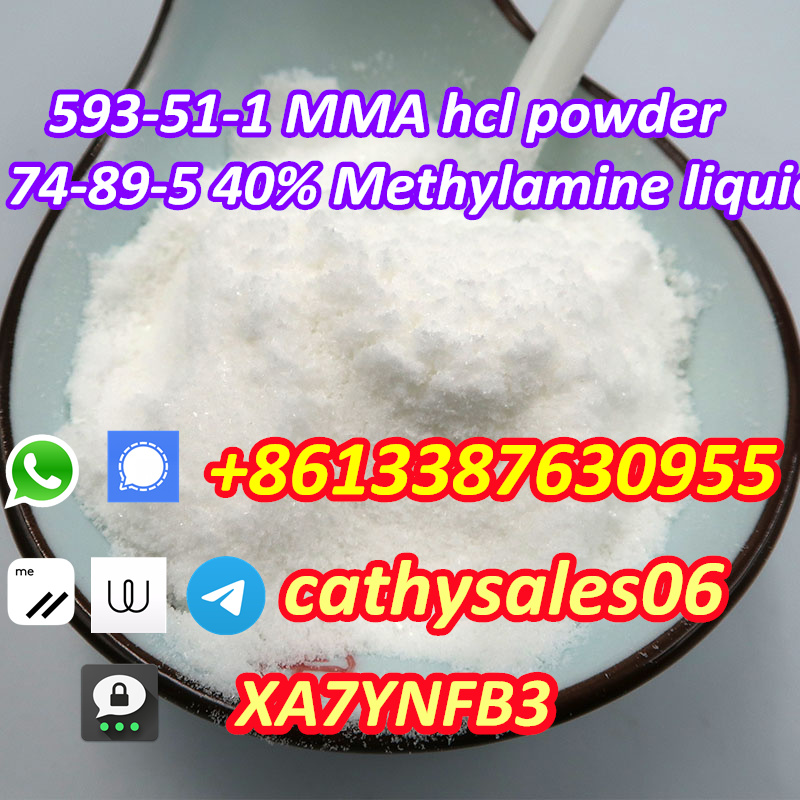 nice quality Methylamine solution 40 % 74-89-5 and Methylamine hydrochloride 593-51-1 รูปที่ 1