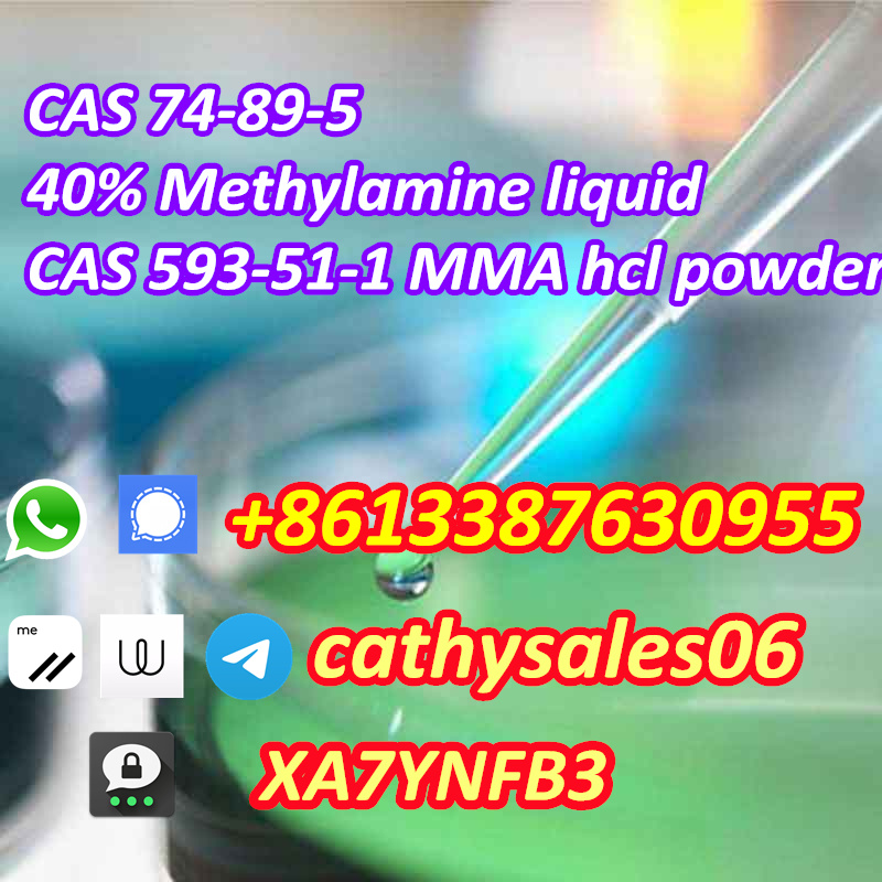 nice quality Methylamine solution 40 % 74-89-5 and Methylamine hydrochloride 593-51-1 รูปที่ 3