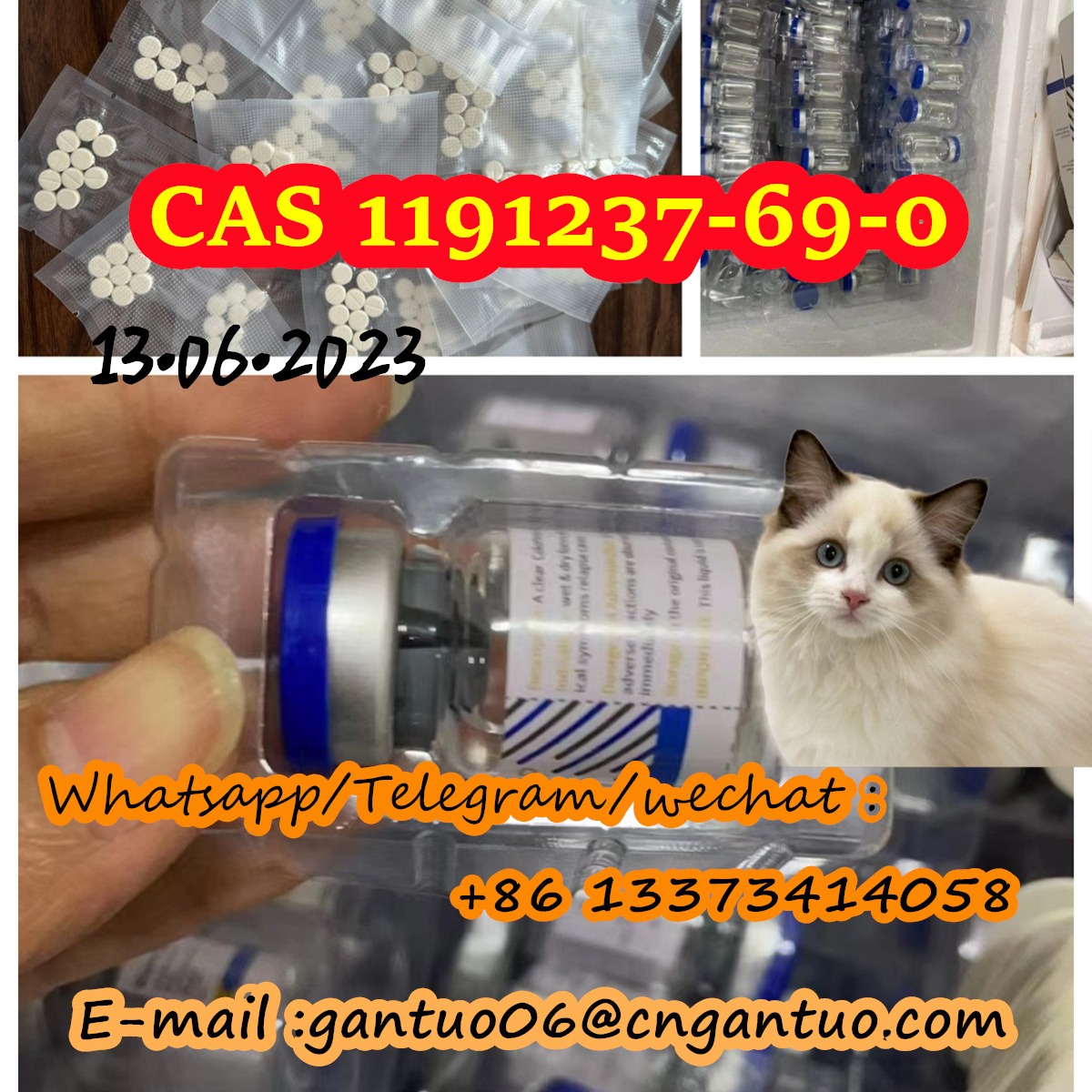 GS-441524 1191237-69-0 cat FIP FIPV safe transportation factory price รูปที่ 1