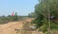 ขายที่ดินว่างเปล่า   อำเภอเมืองบึงกาฬ บึงกาฬ (PKK01-11327)
