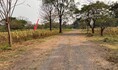 ขายที่ดินว่างเปล่า หมู่บ้านภูตะวัน สีคิ้ว นครราชสีมา (PKK01-11867)