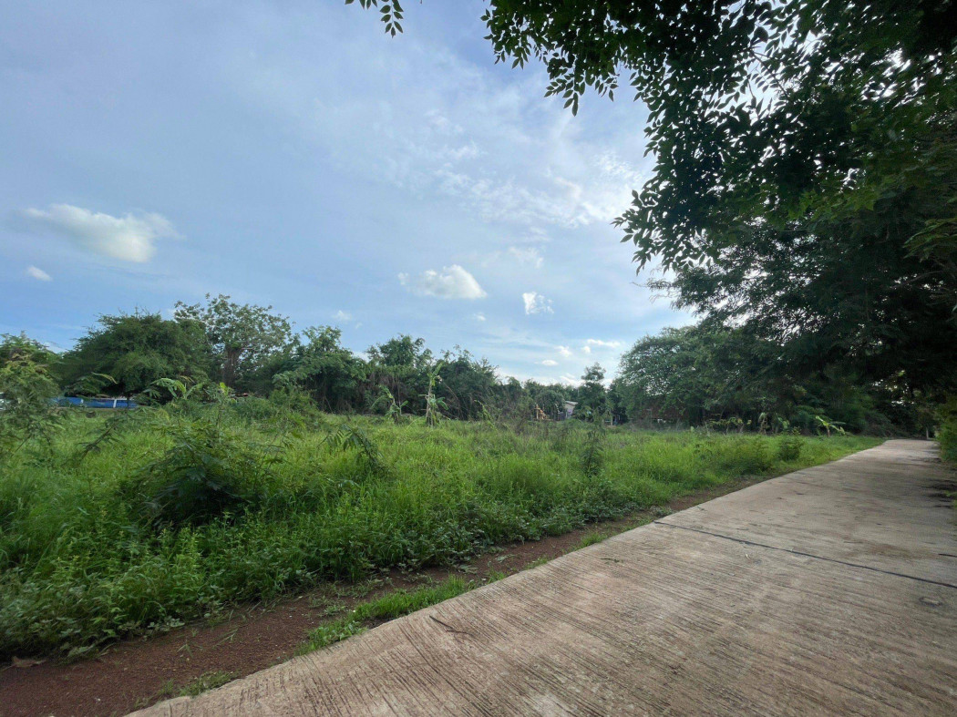 ขายที่ดินถมแล้วติดถ.คอนกรีต 2 ด้าน สวยๆราคาถูกๆ 256 ตรว.หลังโรงเรียนกบินทร์บุรี ใกล้ถ.เส้นสุวรรณศร 33 500 เมตร จ.ปราจีนบุรี รูปที่ 3