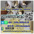 CAS.2732926-26-8,the most powerful opioids,N-ethyl-2-[5-nitro-2-[(4-propan-2-yloxyphenyl)methyl]-1-benzimidazolyl]ethanamine