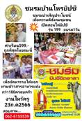 หมอทิพย์ ยิปซี เปิดคอร์สพิเศษ นอน ไพ่ยิปซีเปิดกรรม การกุศล รุ่น 199