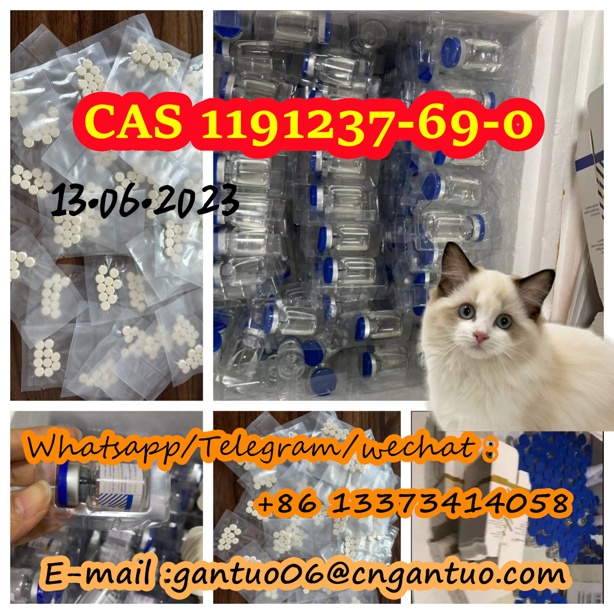 GS-441524 1191237-69-0 cat FIP FIPV safe transportation factory price รูปที่ 1