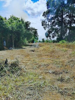 ขาย ที่ดิน บ่อปลา ดอนมะเกลือ 4 ไร่ 69 ตร.วา อู่ทอง สุพรรณบุรี รูปที่ 4