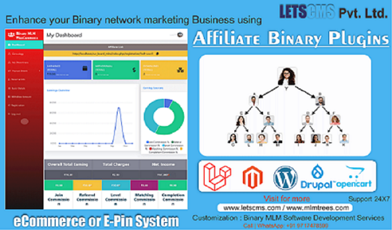 Binary Plan for MLM Software - Binary Matrix and Level Plan with Affiliate Program รูปที่ 1