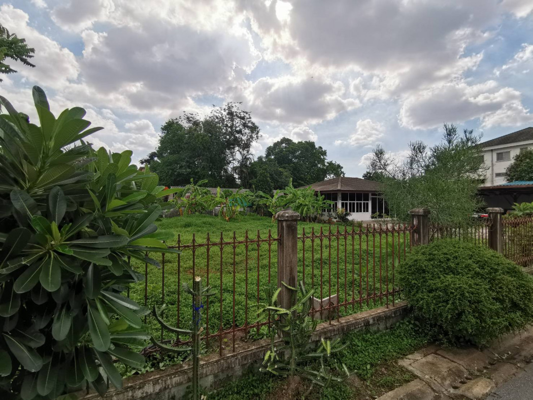 ขาย ที่ดินสวย ใกล้รถไฟฟ้า ใจกลางเมือง ซอยลาดพร้าว 124 กรุงเทพฯ รูปที่ 4