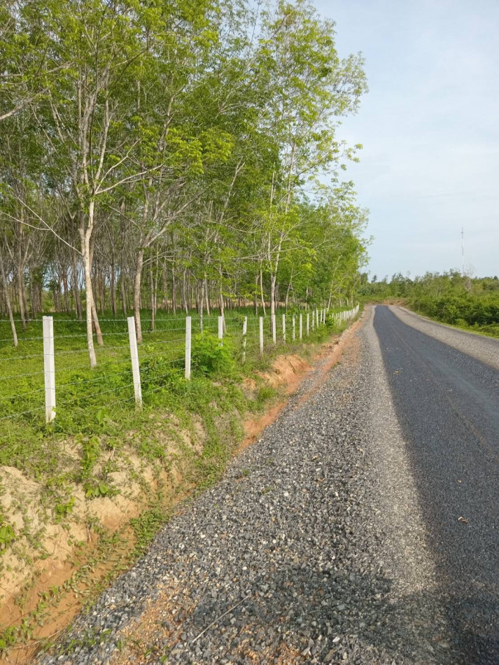 ขาย ที่ดิน ใกล้ชุมชน ติดคลอง 1 ด้าน ติดถนนราดยาง 3 ด้าน รูปที่ 3