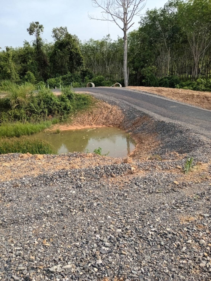 ขาย ที่ดิน ใกล้ชุมชน ติดคลอง 1 ด้าน ติดถนนราดยาง 3 ด้าน รูปที่ 2