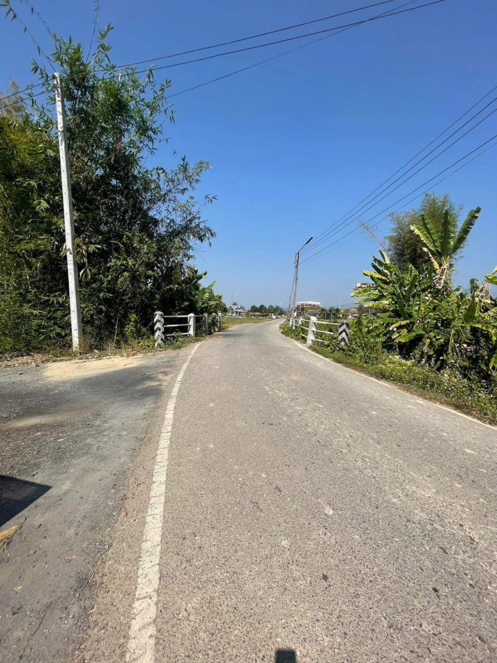 ขายด่วน ที่ดิน พร้อมกิจการบ่อปลา และสวนมะพร้าวน้ำหอม รูปที่ 4