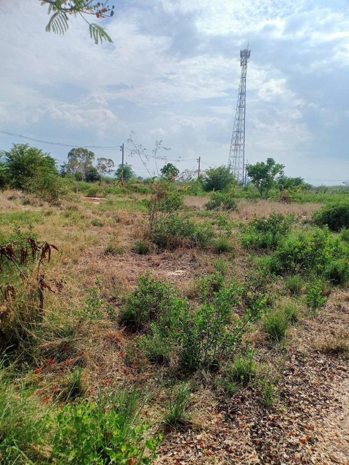ขาย ที่ดิน ติดถนน น้ำไฟพร้อม ใกล้ทะเล หาดชะอำ เพชรบุรี รูปที่ 2