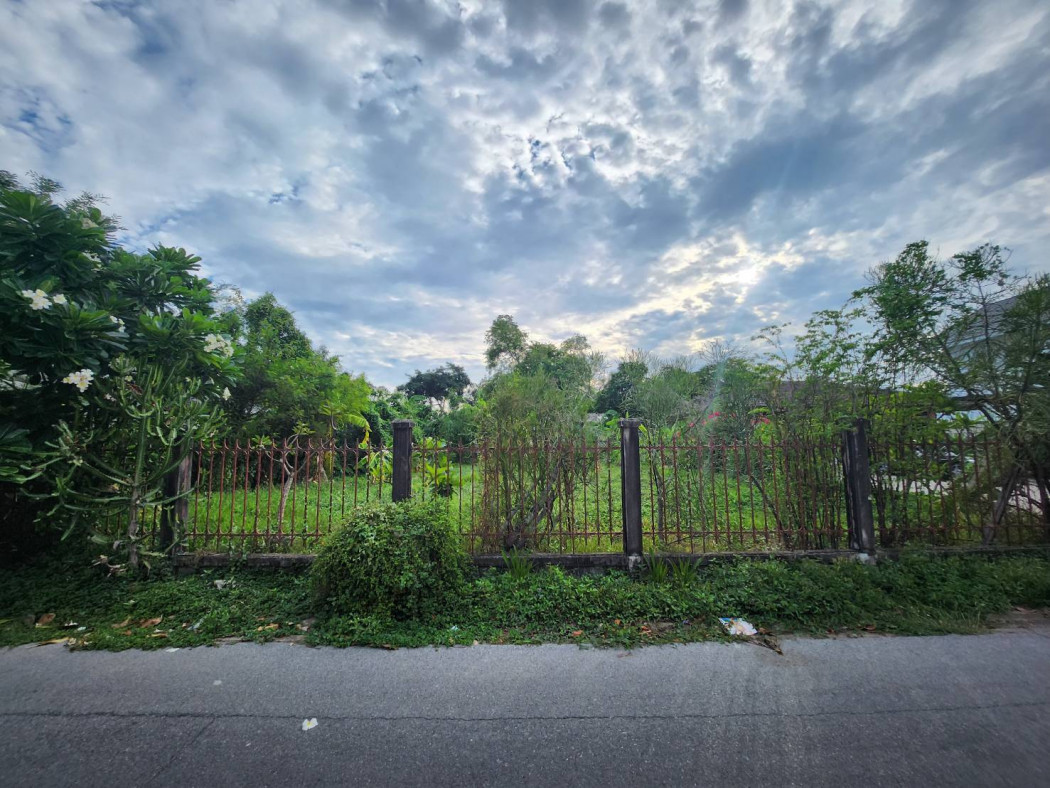 ขาย ที่ดินสวย ใกล้รถไฟฟ้า ใจกลางเมือง ซอยลาดพร้าว 124 กรุงเทพฯ รูปที่ 2