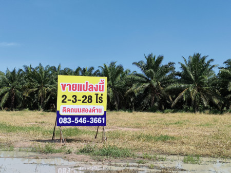 ขายที่ดิน หนองชาก บ้านบึง ชลบุรี ใกล้นิคมอุตสาหกรรมแห่งใหม่ 1.5 กม. เหมาะสร้างคลังสินค้า บ้านจัดสรร รูปที่ 1