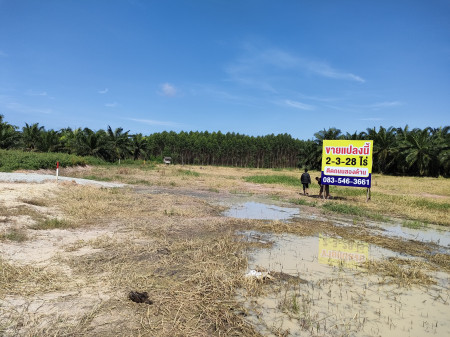 ขายที่ดิน หนองชาก บ้านบึง ชลบุรี ใกล้นิคมอุตสาหกรรมแห่งใหม่ 1.5 กม. เหมาะสร้างคลังสินค้า บ้านจัดสรร รูปที่ 10