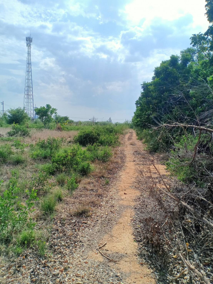 ขาย ที่ดิน ติดถนน น้ำไฟพร้อม ใกล้ทะเล หาดชะอำ เพชรบุรี รูปที่ 9