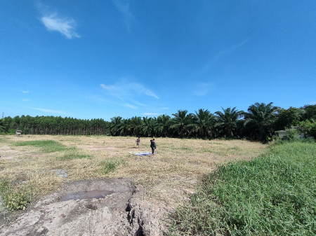 ขายที่ดิน หนองชาก บ้านบึง ชลบุรี ใกล้นิคมอุตสาหกรรมแห่งใหม่ 1.5 กม. เหมาะสร้างคลังสินค้า บ้านจัดสรร รูปที่ 8