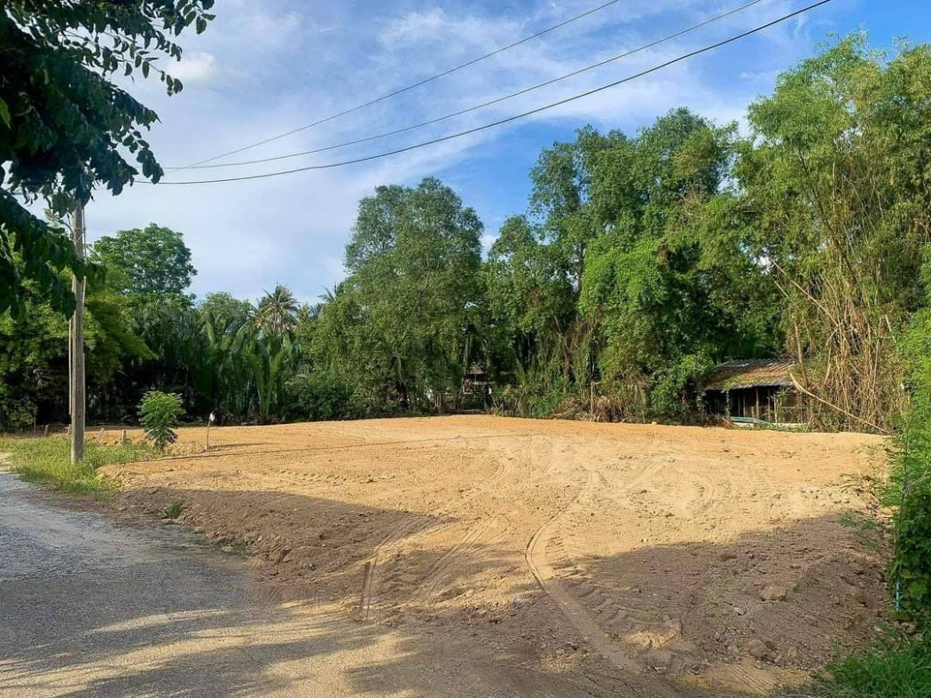 ขายที่ดินบ้านใหม่ แปดริ้ว 94 ตรว. ติดคลอง ถมแล้ว ซอยอบต. ใกล้ถนนเส้น 3200 - 1.4 กม. เมืองฉะเชิงเทรา รูปที่ 2